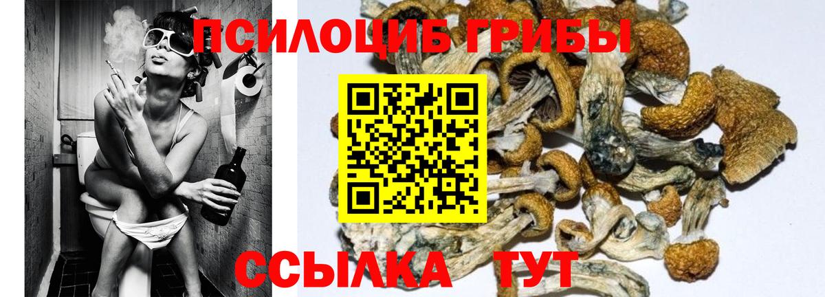 Псилоцибиновые грибы мухоморы  Вход с VPN  Ишимбай  Псилоцибиновые грибы GOLDEN TEACHER 